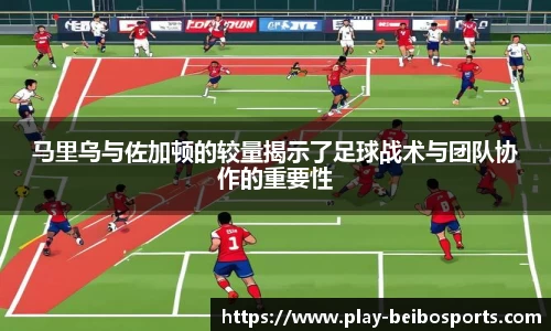BB体育